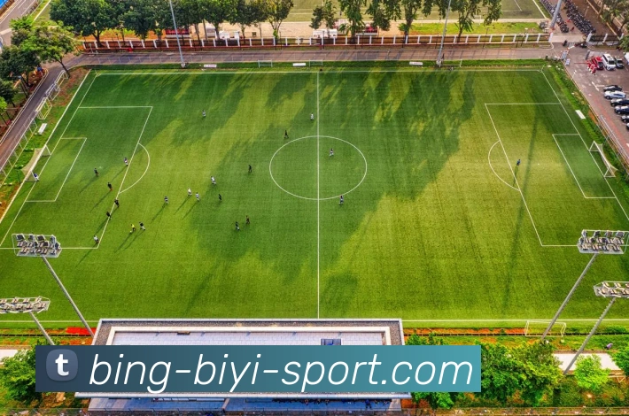 必一运动平台生态图